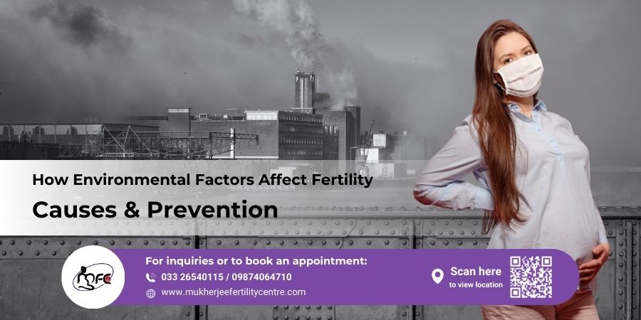 How Environmental Factors Affect Fertility | Causes & Prevention