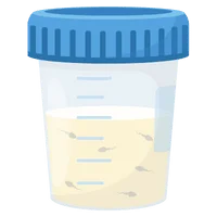Donor Programme